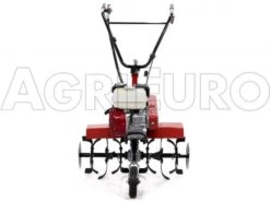 Motozappa Benassi BL 6000 Motore A Benzina Honda GX 160 - Cambio Marce 2+1 -Garden Sconto motozappa benassi bl 6000 motore a benzina honda gx 160 cambio marce 2 1 motozappa benassi bl 6000 honda gx 160 4335 0 1500468139 IMG 1384