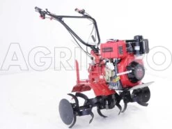 Motozappa Diesel Eurosystems Euro 102 Motore A Gasolio, Trasmissione A Ingranaggi -Garden Sconto motozappa diesel eurosystems euro 102 motore a gasolio trasmissione a ingranaggi motozappa eurosystems euro 102 d 5763 0 1400496544 IMG 7537