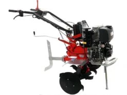 Motozappa Pesante Diesse DS84 Diesel Lombardini/Kohler KD15-440 Avviamento Elettrico 34 Motozappa Pesante Diesse DS84 Diesel Lombardini/Kohler KD15-440 Avviamento Elettrico -Garden Sconto motozappa pesante diesse ds84 diesel lombardini kohler kd15 440 avviamento elettrico motozappa diesse ds 84 con avviamento elettrico 5731 0 1584030563 IMG 5e6a63633913e