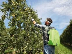 Pompa Irroratrice A Batteria A Spalla Verdemax FUTURA PRO 16L Batteria Al Litio 18V 2.5Ah 23 Pompa Irroratrice A Batteria A Spalla Verdemax FUTURA PRO 16L Batteria Al Litio 18V 2.5Ah -Garden Sconto pompa irroratrice a batteria a spalla verdemax futura pro 16l batteria al litio 18v 2 5ah pompa a zaino a batteria verdemax futura pro 16l 29749 1 1623234693 IMG 60c09885cc8fc