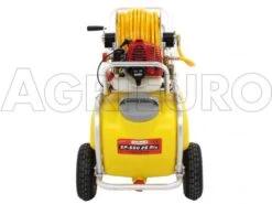 Pompa Irroratrice A Scoppio Carrellata In Alluminio GeoTech SP 550 2S ALU - 2 Tempi A Miscela -Garden Sconto pompa irroratrice a scoppio carrellata in alluminio geotech sp 550 2s alu 2 tempi a miscela pompa irrorazione a carrello geotech da 50 litri 9257 0 1474354463 IMG 4523