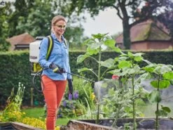 Pompa Irroratrice Zainata A Batteria RYOBI RY18BPSA-0 - 18V - Tanica Da 15L - SENZA BATTERIA E CARICABATTERIE -Garden Sconto pompa irroratrice zainata a batteria ryobi ry18bpsa 0 18v tanica da 15l senza batteria e caricabatterie pompa per irrorazione ryobi ry18bpsa 0 30060 1 1624612179 IMG 60d59d53353f2