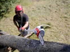 Potatore Elettrico IKRA IEAS 750 Con Asta Telescopica- Sega A Catena -Garden Sconto potatore elettrico ikra ieas 750 con asta telescopica sega a catena il potatore elettrico ikra ieas 750 18219 1 1570007580 18213 5 1570001070 61fQMCqjwYL