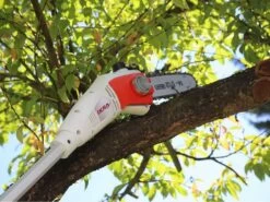 Potatore Elettrico IKRA IEAS 750 Con Asta Telescopica- Sega A Catena -Garden Sconto potatore elettrico ikra ieas 750 con asta telescopica sega a catena il potatore elettrico ikra ieas 750 18219 1 1570007580 18213 5 1570001070 71qNdUlb4EL