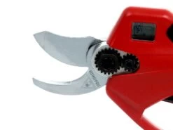 Sbaraglia Eduard A3042 - Forbice Elettrica Da Potatura - 2x 16.8V 2.5Ah -Garden Sconto sbaraglia eduard a3042 forbice elettrica da potatura 2x 16 8v 2 5ah forbici elettriche a batteria eduard a3042 32mm batterie da 16 8v 22138 8 1581527744 IMG 4031