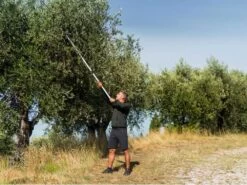 Stocker Art. 606 - Forbicione Da Potatura Telescopico Professionale - Asta 170/280 Cm - Ø 35mm 27 Stocker Art. 606 - Forbicione Da Potatura Telescopico Professionale - Asta 170/280 Cm - Ø 35mm -Garden Sconto stocker art 606 forbicione da potatura telescopico professionale asta 170 280 cm 35mm forbice troncarami lunga su asta telescopica stocker 606 15370 0 1547736570 ff