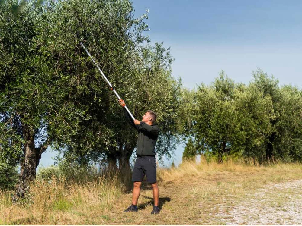 Stocker Art. 606 - Forbicione Da Potatura Telescopico Professionale - Asta 170/280 Cm - Ø 35mm 15 Stocker Art. 606 - Forbicione Da Potatura Telescopico Professionale - Asta 170/280 Cm - Ø 35mm - immagine 13