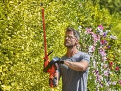 Black & Decker Tagliasiepi BLACK+DECKER BEHTS551 - 650 W Con Lama Da 60 Cm In Acciaio 25 Black & Decker Tagliasiepi BLACK+DECKER BEHTS551 - 650 W Con Lama Da 60 Cm In Acciaio -Garden Sconto tagliasiepi black decker behts551 650 w con lama da 60 cm in acciaio tagliasiepi elettrico black decker behts551 qs 25119 0 1599214485 IMG 5f52139577fd5