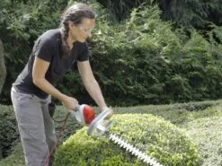 Tagliasiepi Elettrico IKRA FHS 1555 - Tosasiepi Da 550 W Con Barra Da 55 Cm - Ultraleggero -Garden Sconto tagliasiepi elettrico ikra fhs 1555 tosasiepi da 550 w con barra da 55 cm ultraleggero tagliasiepi elettrico ikra fhs 1555 18421 1 1571395974 18126 5 1568986952 81LzFyYkXgL. AC SL1500