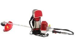 Valex Texas 52Z - Decespugliatore A Zaino 18 Valex Texas 52Z - Decespugliatore A Zaino -Garden Sconto valex texas 52z decespugliatore a zaino decespugliatore valex texas 52 z 14877 27 1543335325 IMG 9749