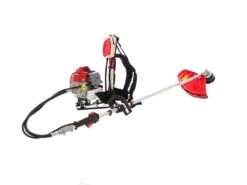 Valex Texas 52Z - Decespugliatore A Zaino 23 Valex Texas 52Z - Decespugliatore A Zaino -Garden Sconto valex texas 52z decespugliatore a zaino decespugliatore valex texas 52 z 14877 27 1543335326 IMG 9752