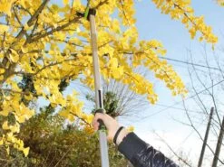 Verdemax - Forbicione Da Potatura Manuale - Asta Fissa 150cm - Ø 25 Mm -Garden Sconto verdemax forbicione da potatura manuale asta fissa 150cm 25 mm forbicione manuale verdemax su asta fissa 29766 1 1623248006 IMG 60c0cc86792b3